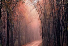 斯诺克——世界大奖赛：尼尔·罗伯逊晋级八强.