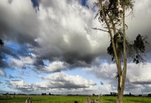 超凡国际：[CBA]常规赛12月16日：山西VS辽宁 集锦.