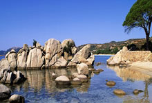 裁判毁掉强强对话！快船无缘掀翻联盟第一，泰伦卢复出成累赘.